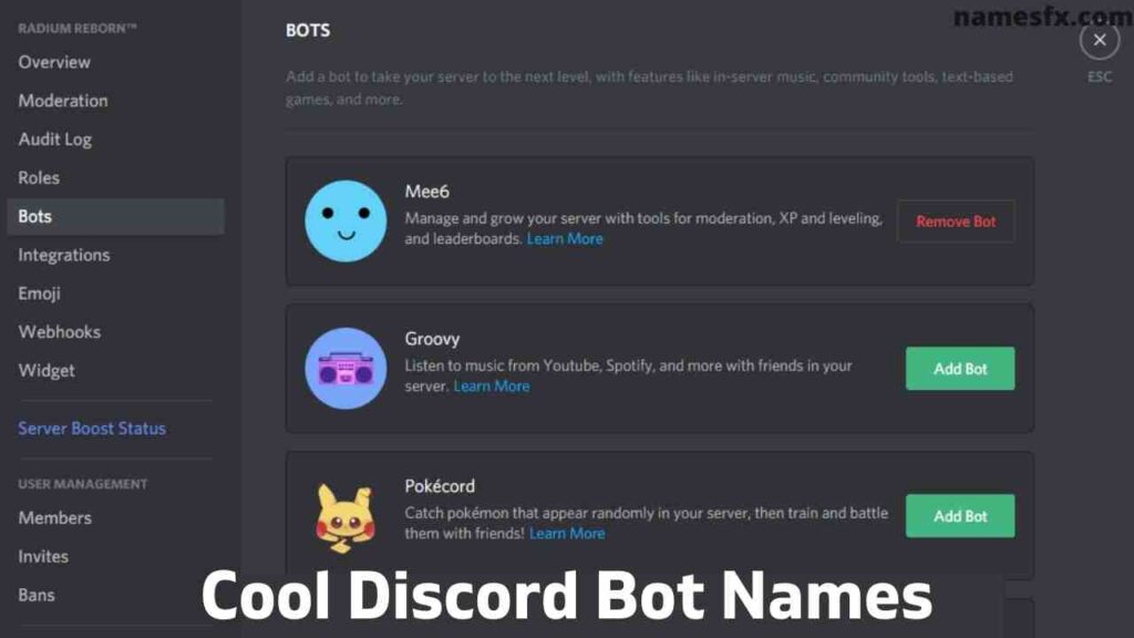 cool discord names idea for bots