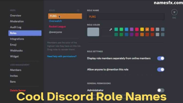 250 Cool Discord Names Ideas For 2021   Cool Discord Role Names 768x432 