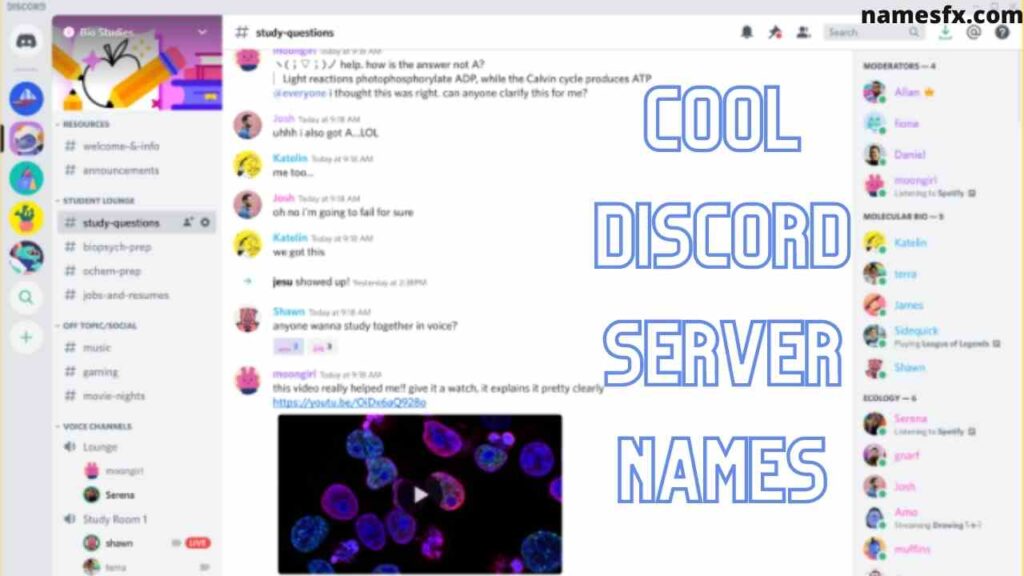 Cool Discord Server Names