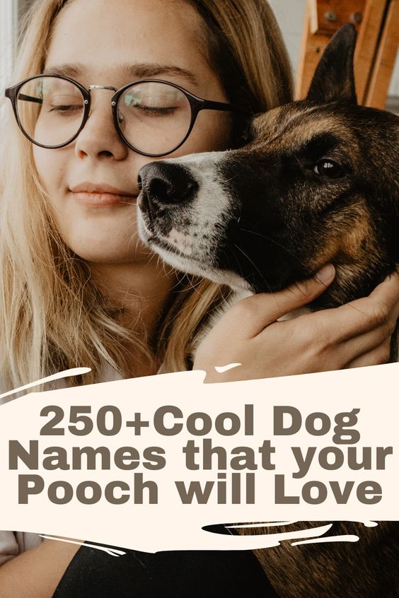 Cool Dog Names