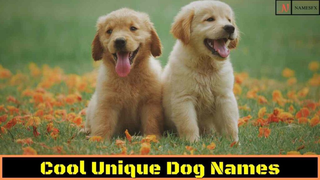 Cool Unique Dog Names,