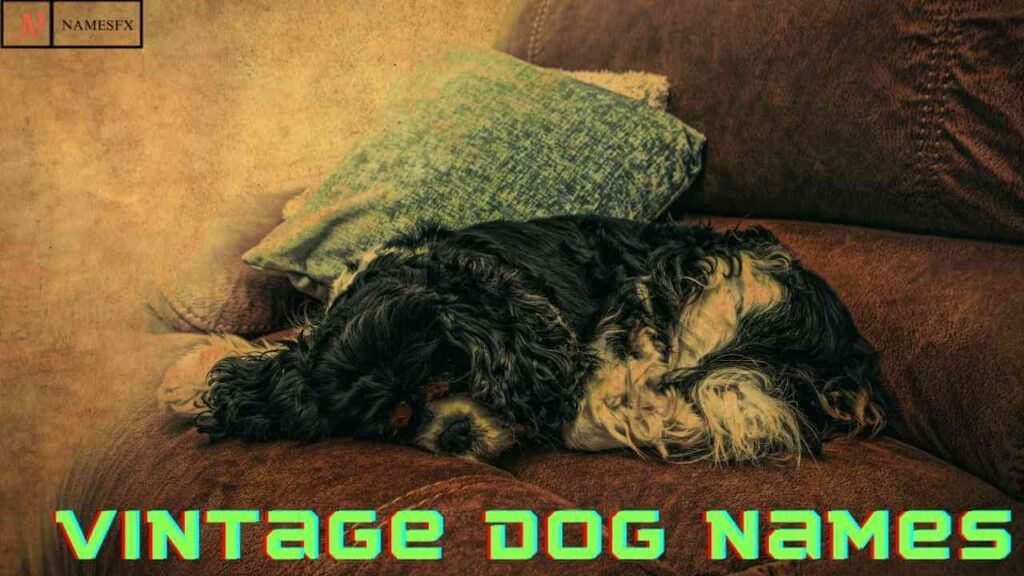 Cool Vintage Dog Names,