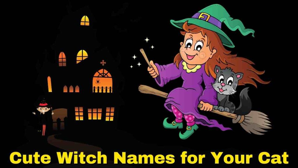 Cute Cat  Witch Names 