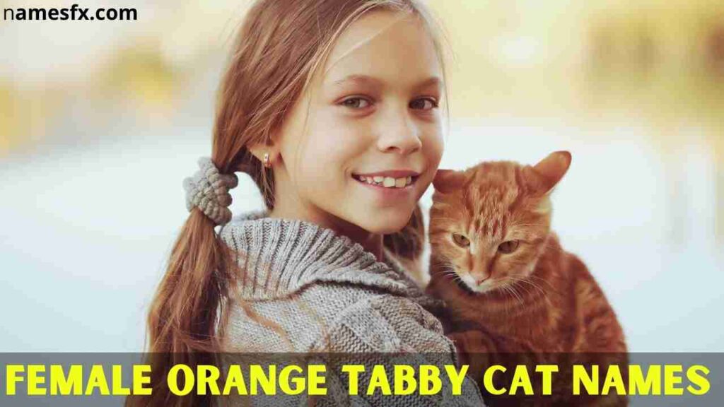Female Orange Tabby Cat Names