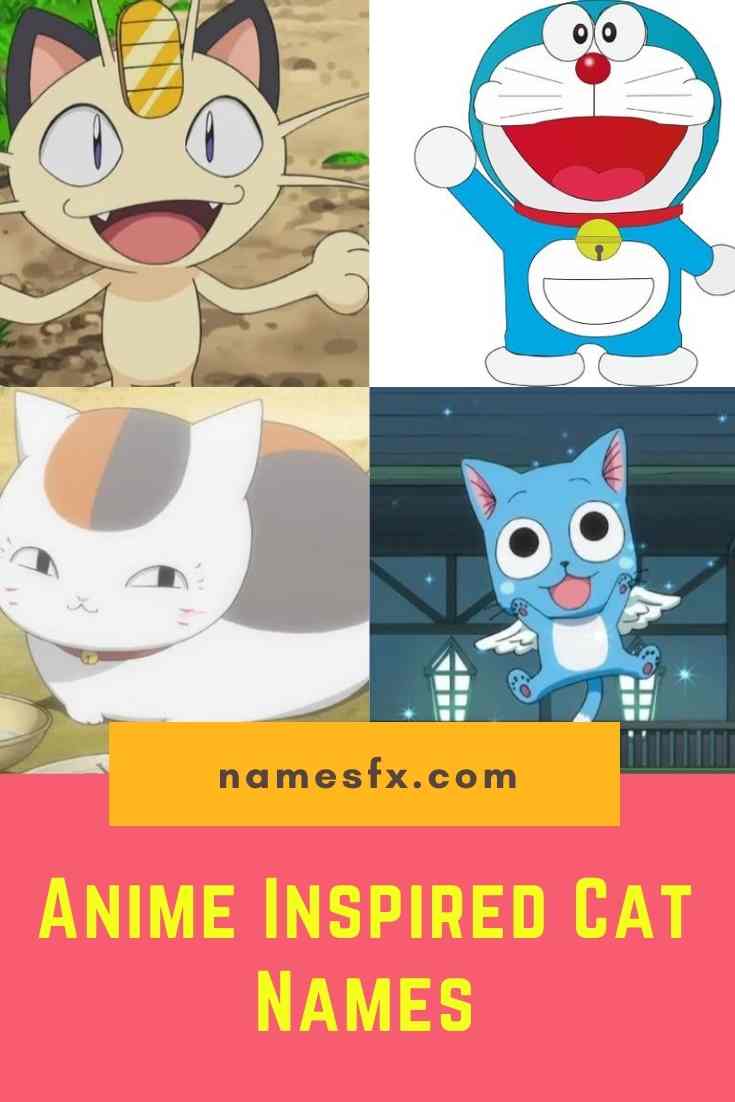 150+ Cute And Adorable Japanese Cat Names With Meanings » NamesFx