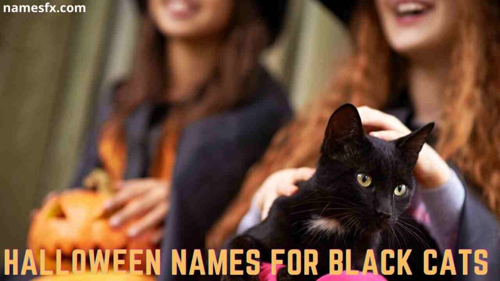 HALLOWEEN NAMES FOR BLACK CATS