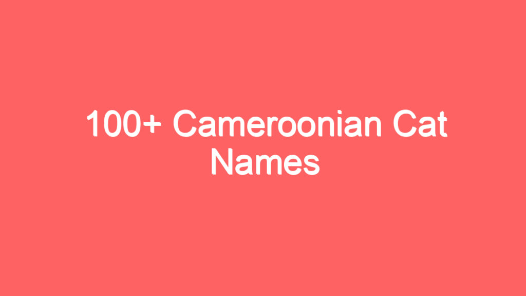 100 cameroonian cat names 2624