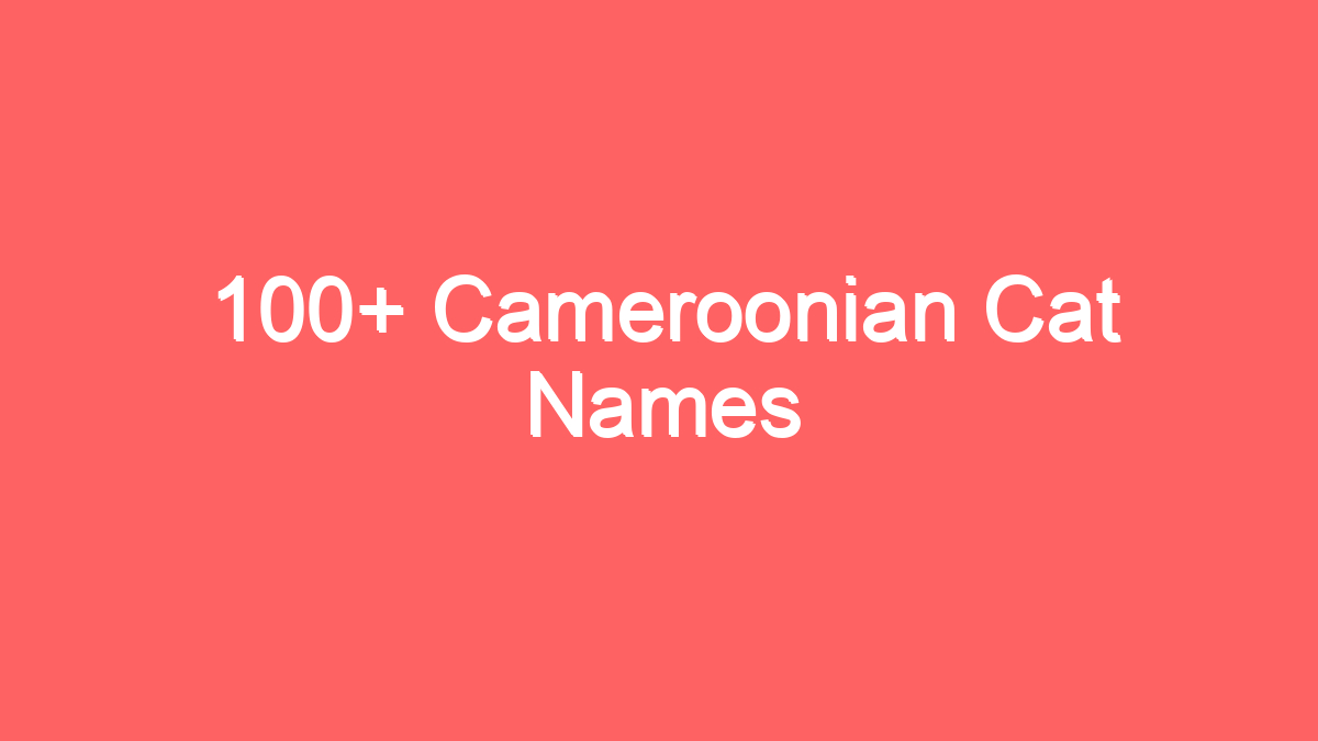 100 cameroonian cat names 2624