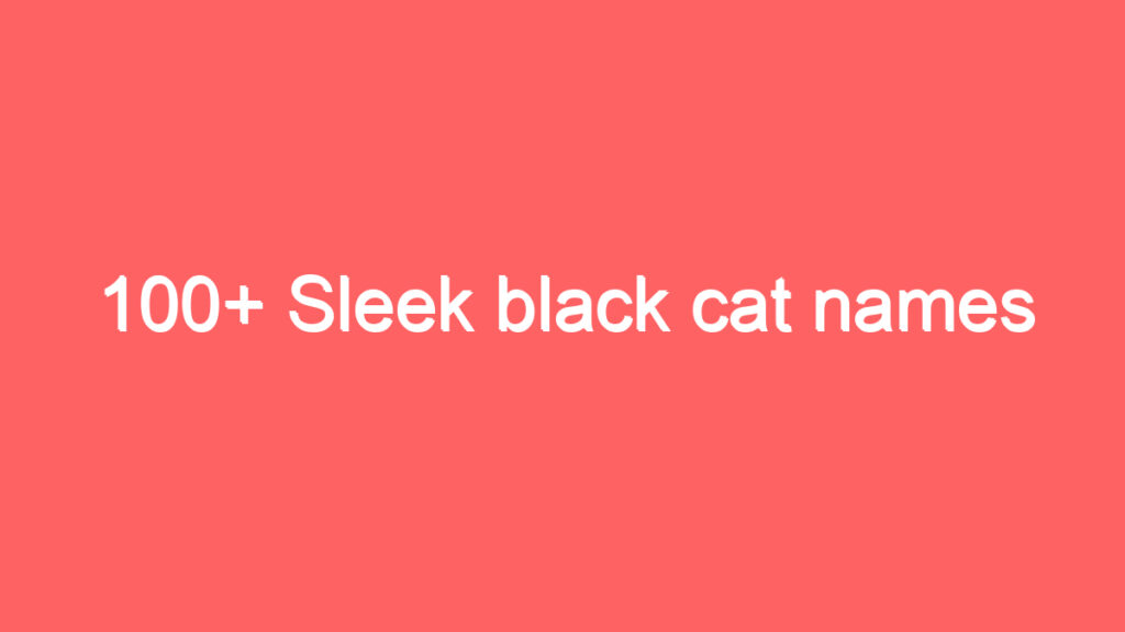 100 sleek black cat names 1955