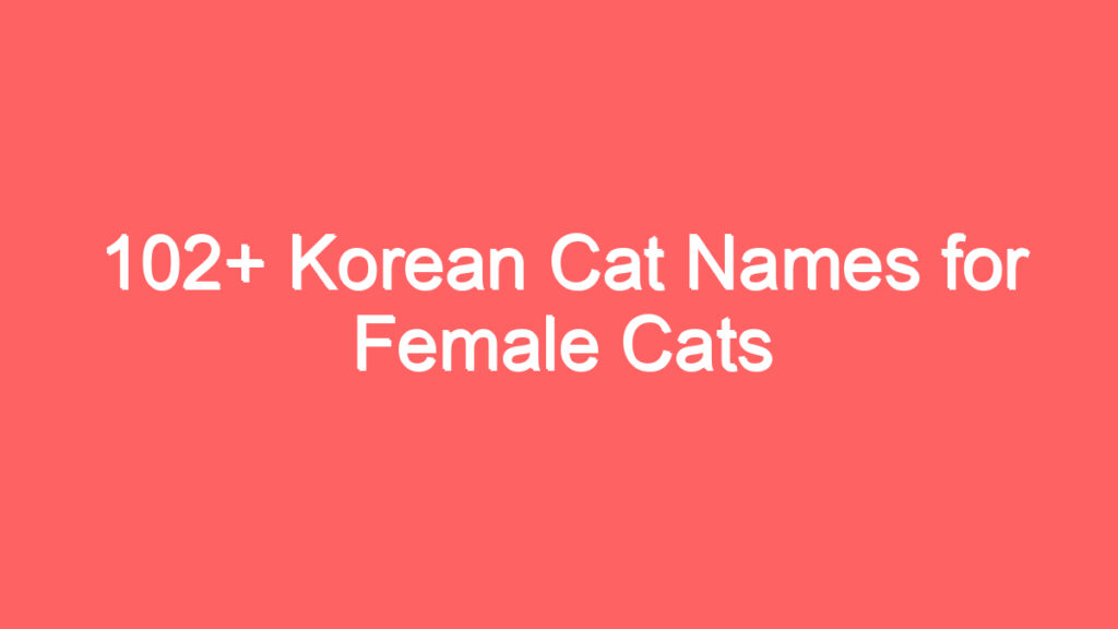 Korean Cat Names for Female Cats, Korean Cat Names,