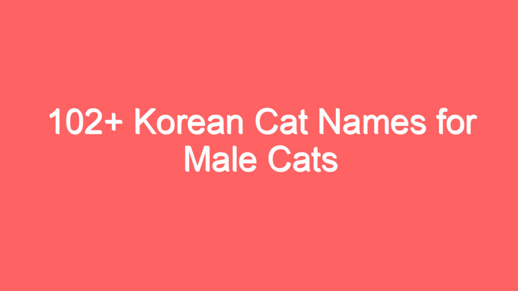 102 korean cat names for male cats 1853