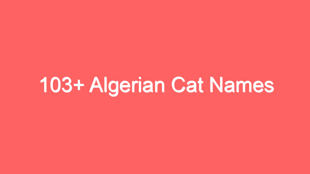 103 algerian cat names 1967