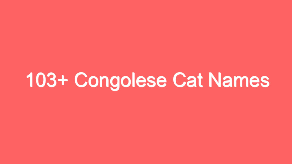 103 congolese cat names 2647