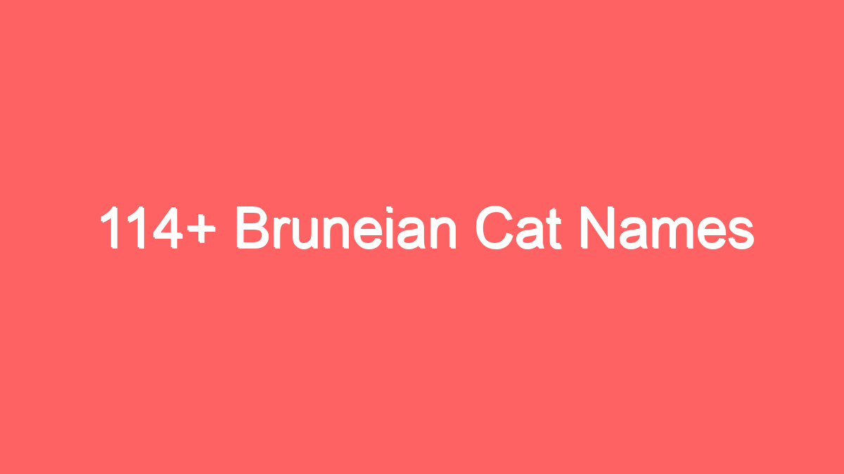 114 bruneian cat names 2070