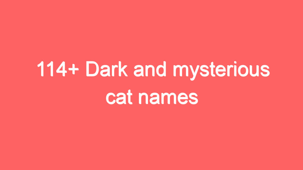 114 dark and mysterious cat names 1930