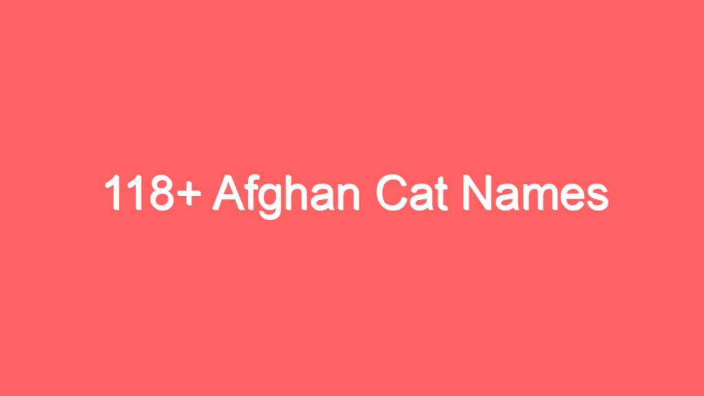 118 afghan cat names 1961