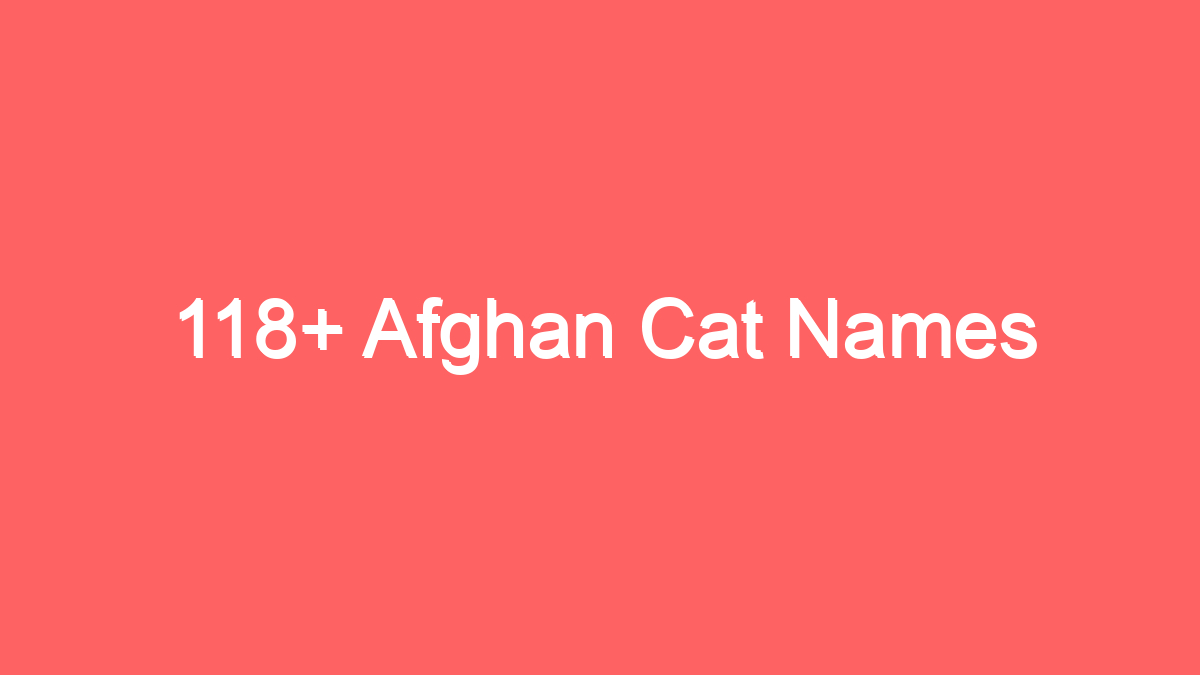 118-afghan-cat-names