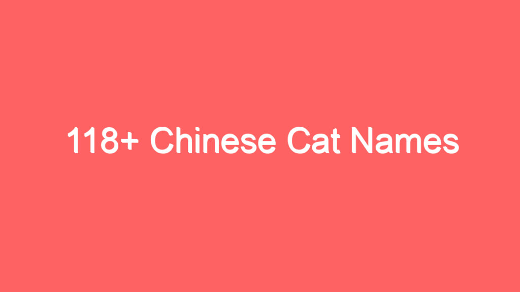 118 chinese cat names 2634