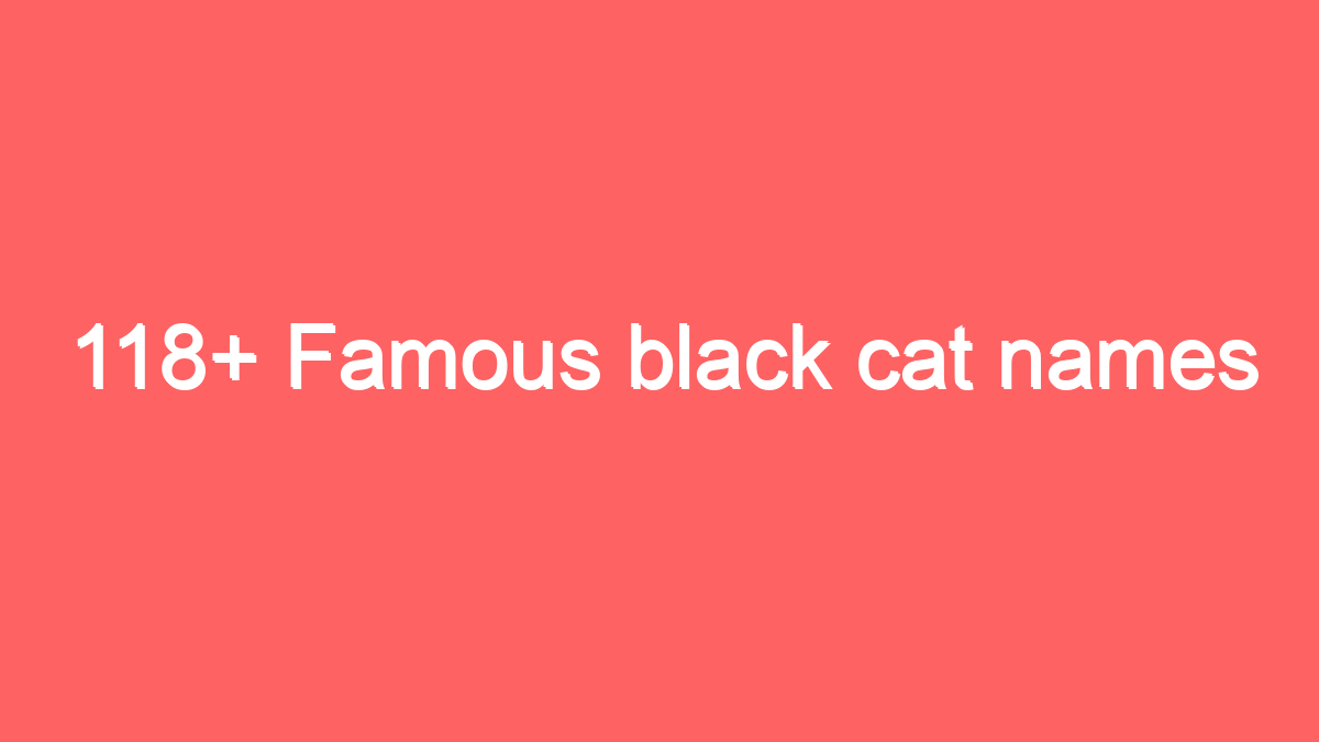 118 famous black cat names 1960