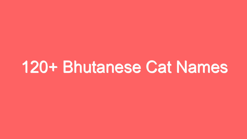 120 bhutanese cat names 2059