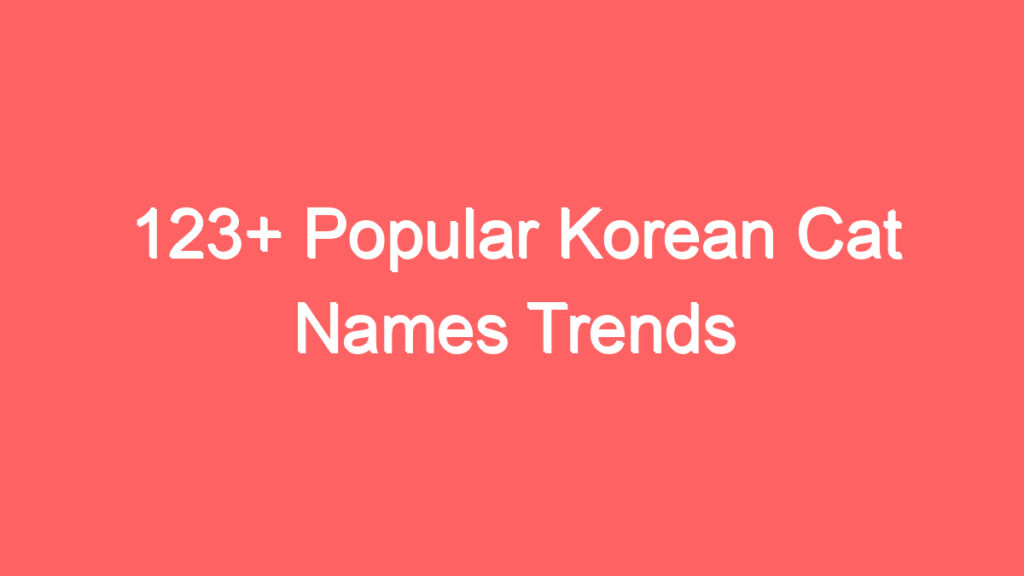 123 popular korean cat names trends 1923