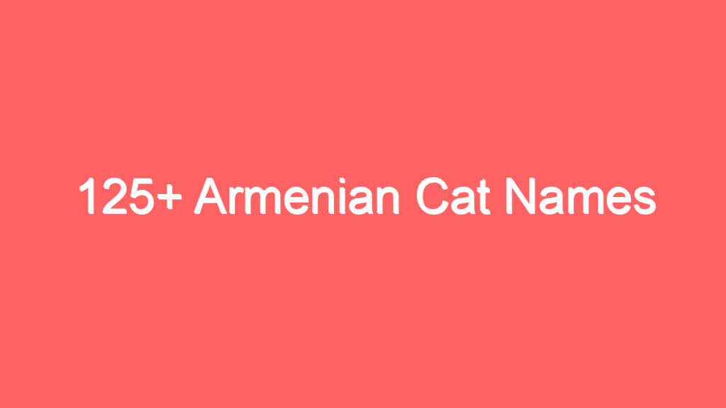 125 armenian cat names 2046