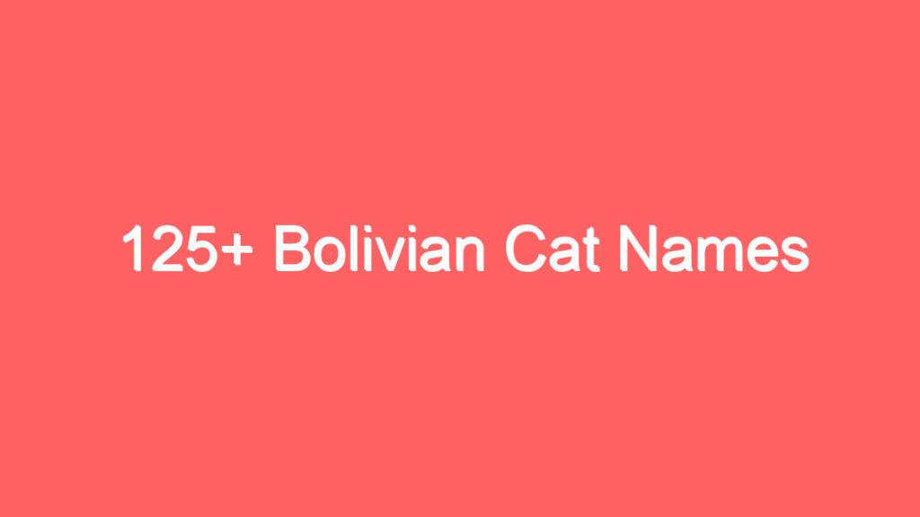 125 bolivian cat names 2060