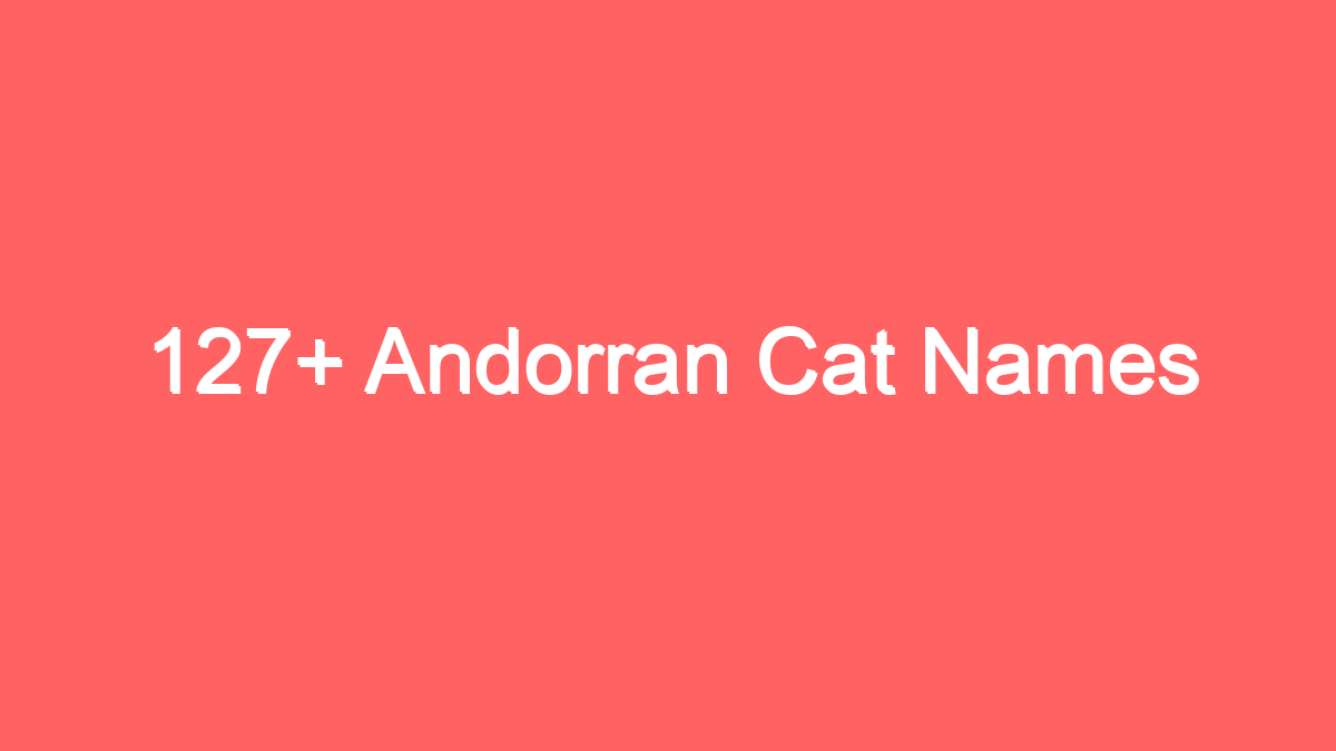 127 andorran cat names 1994