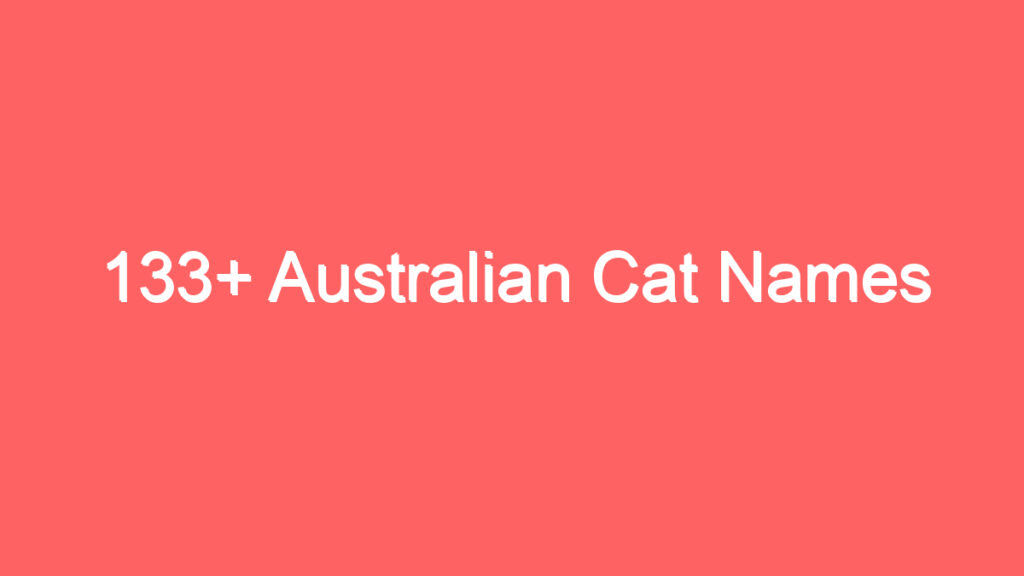 133 australian cat names 2047