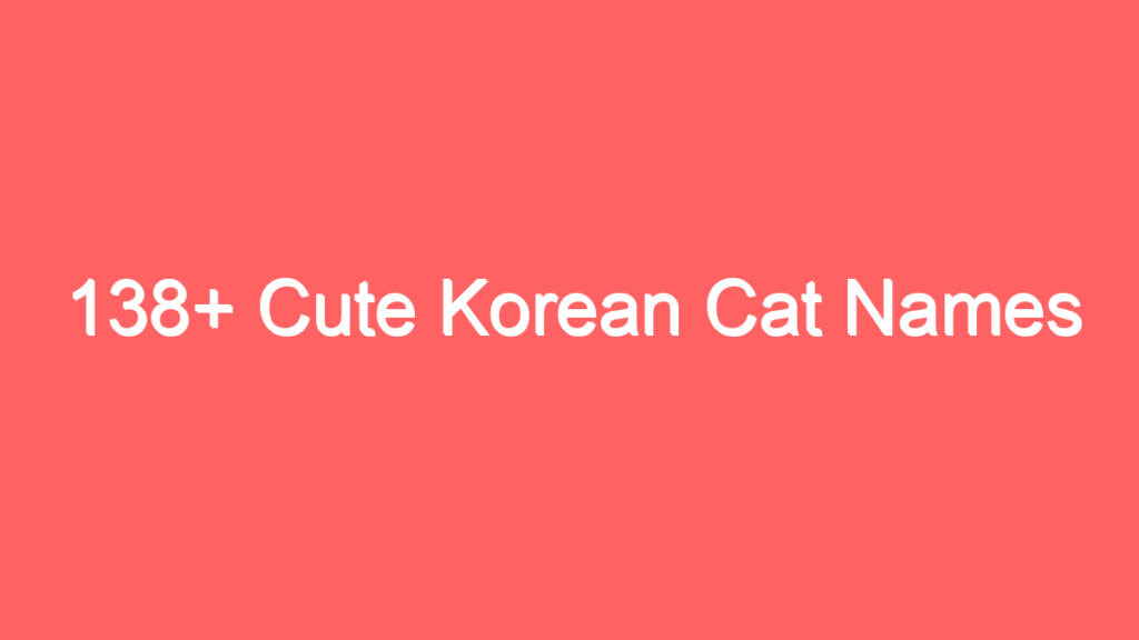 138 cute korean cat names 1913