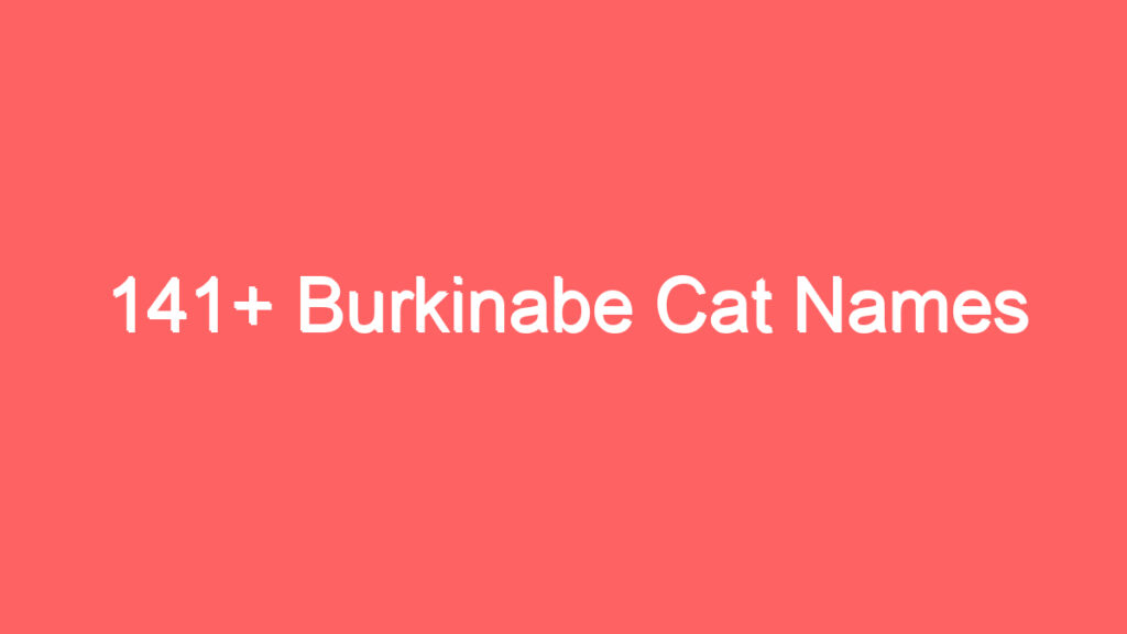 141 burkinabe cat names 2610