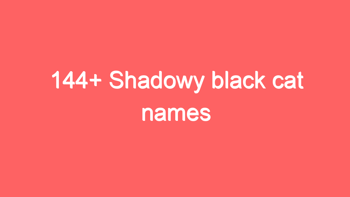 144 shadowy black cat names 1956