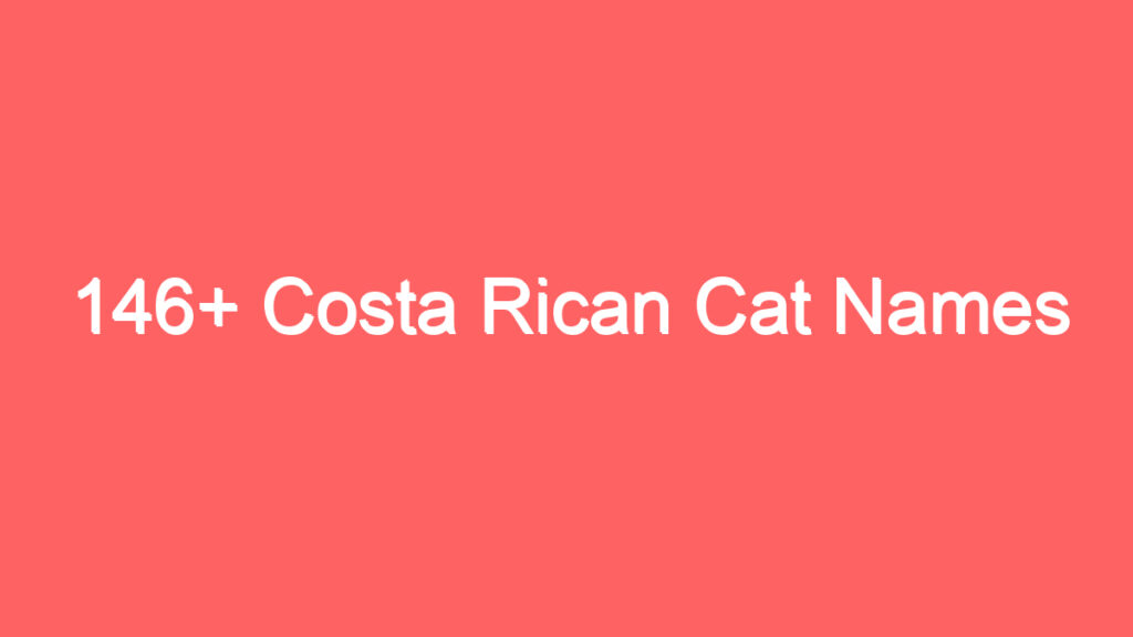 146 costa rican cat names 2656