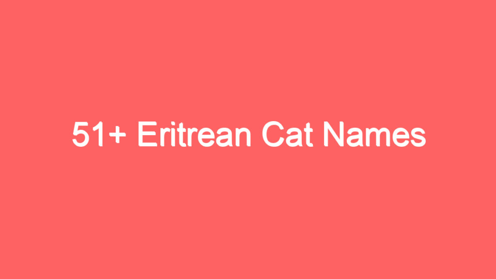 51 eritrean cat names 2803