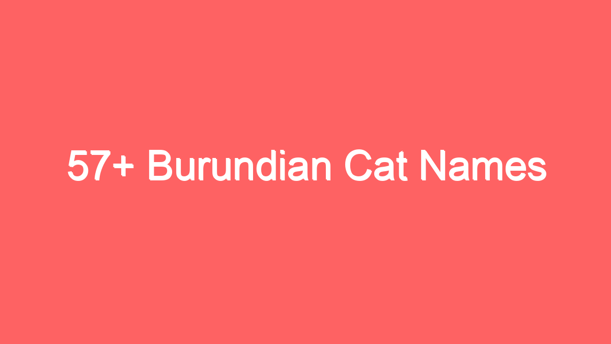 57 burundian cat names 2613