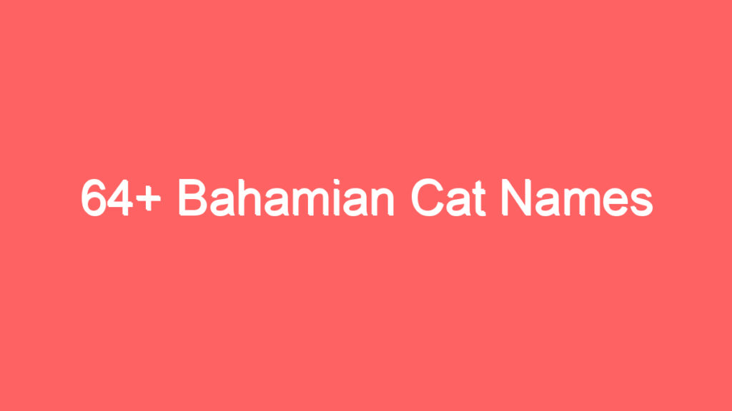 64 bahamian cat names 2051