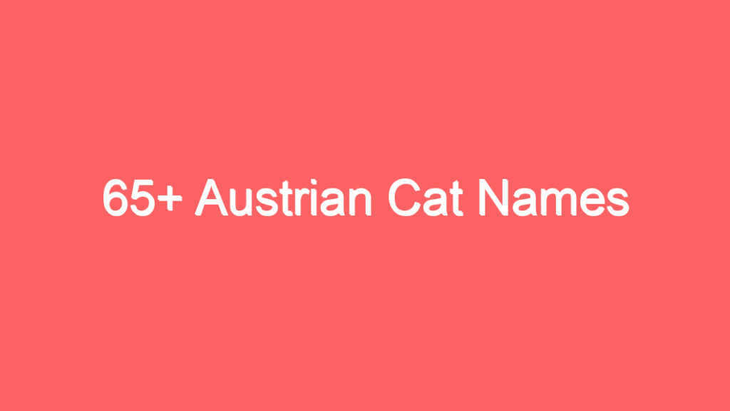 65 austrian cat names 2048