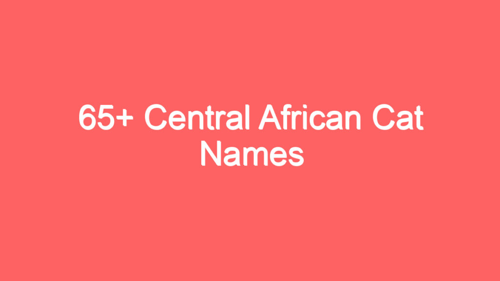 65 central african cat names 2626