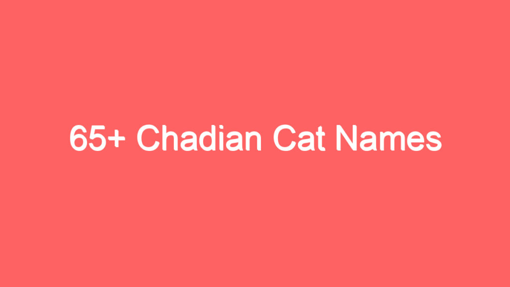 65 chadian cat names 2630