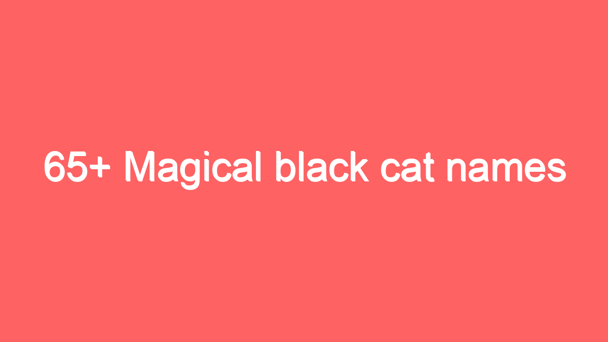 65 magical black cat names 1958