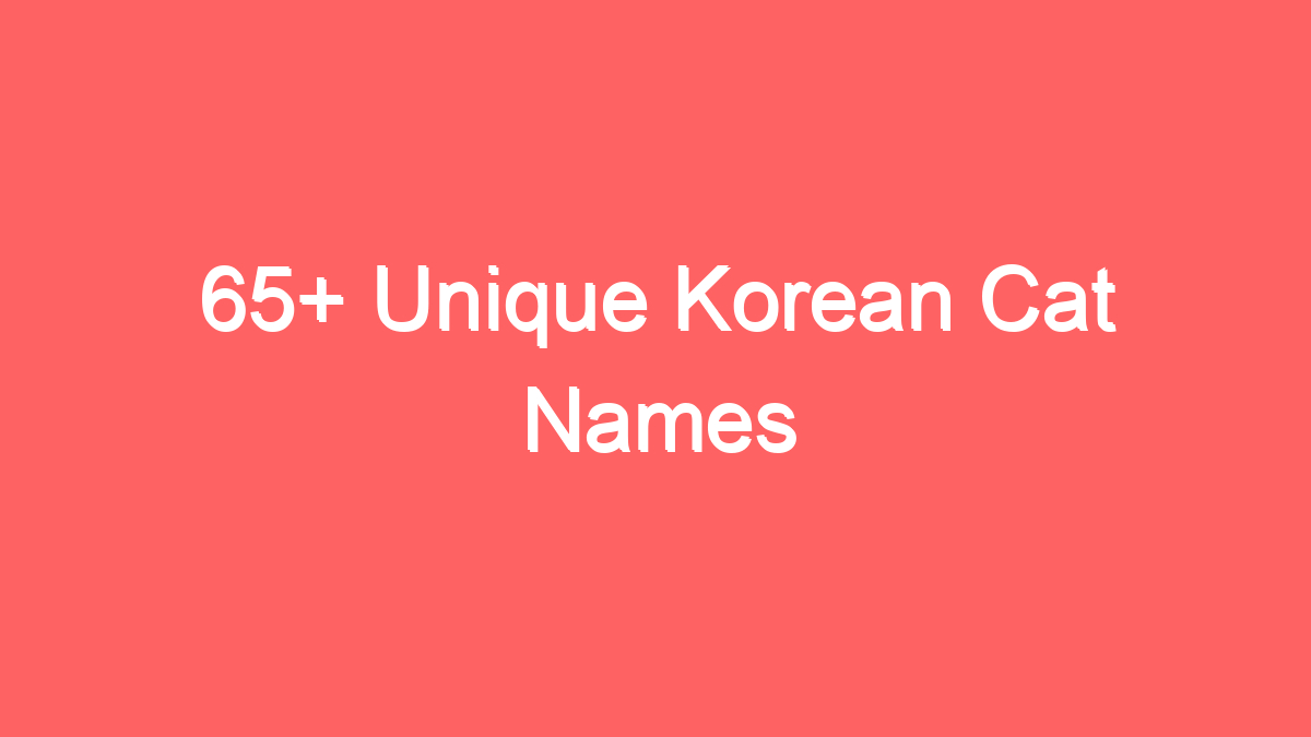 65 unique korean cat names 1909