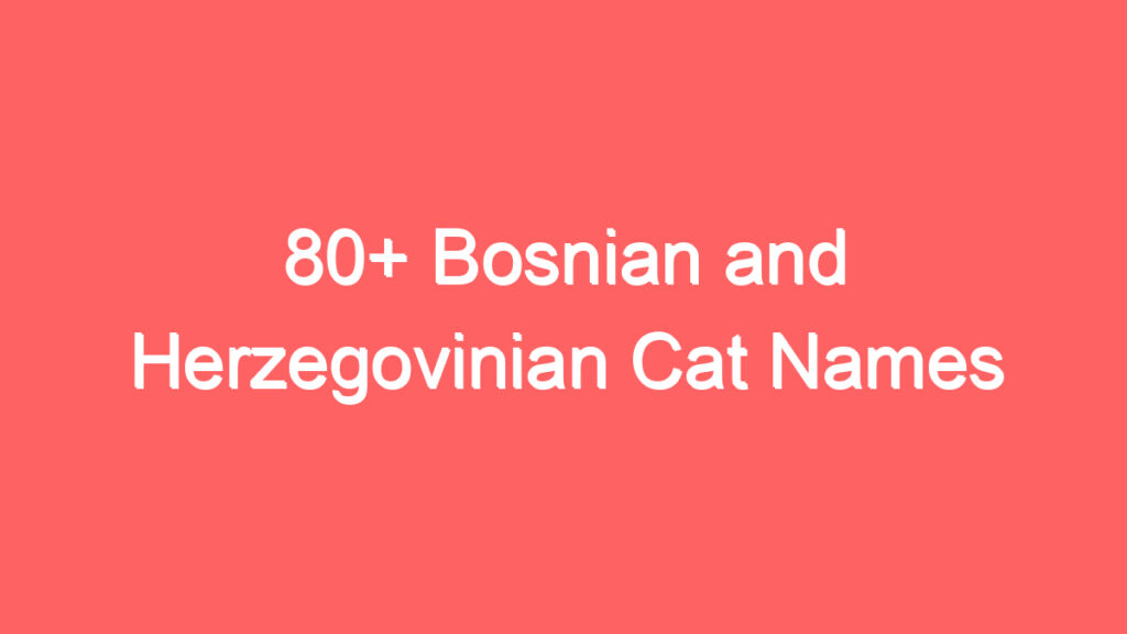 80 bosnian and herzegovinian cat names 2061