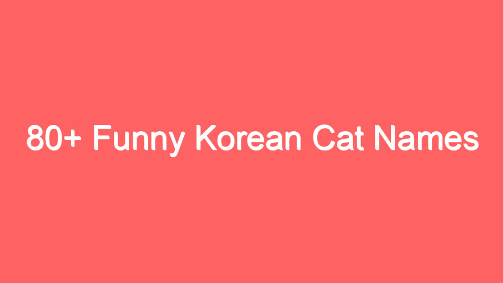 80 funny korean cat names 1927