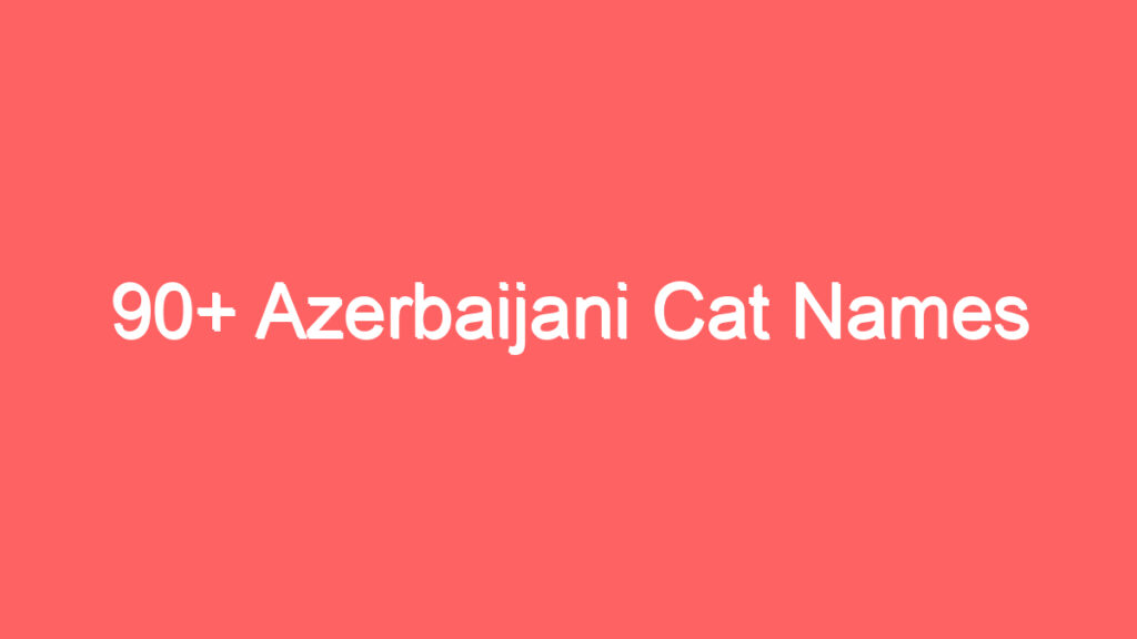 90 azerbaijani cat names 2049