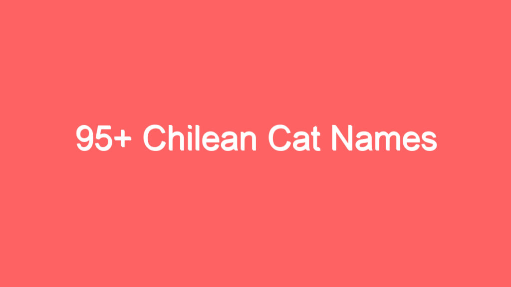 95 chilean cat names 2631