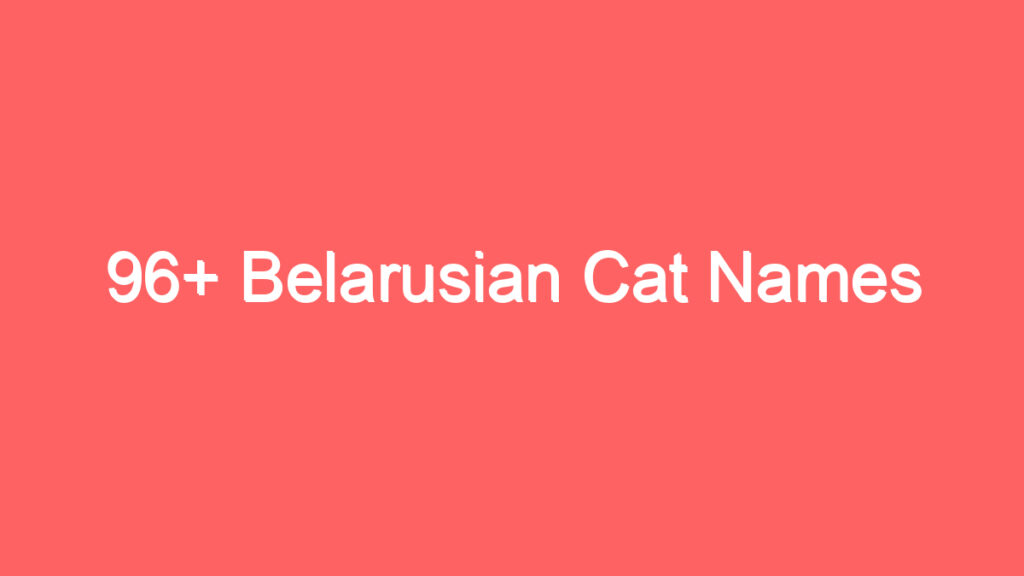 96 belarusian cat names 2055