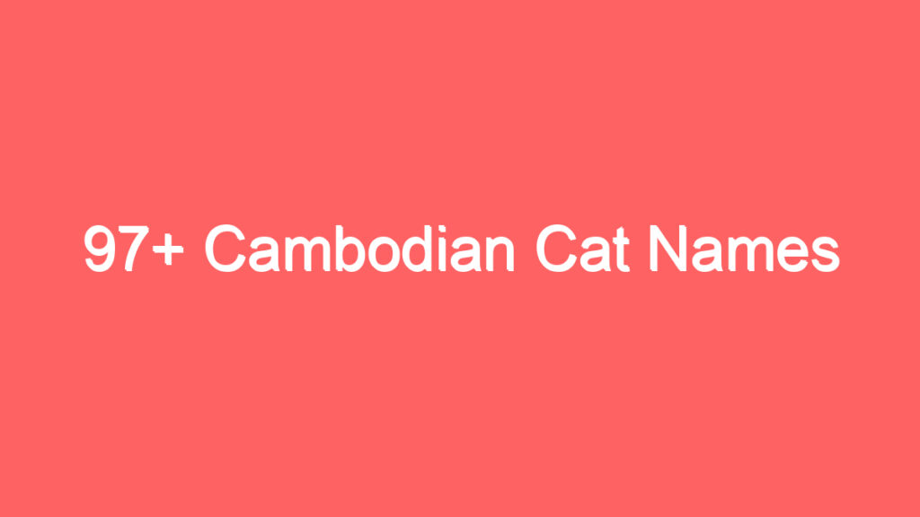 97 cambodian cat names 2617