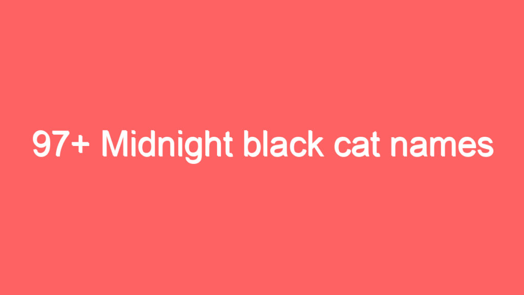 97 midnight black cat names 1954