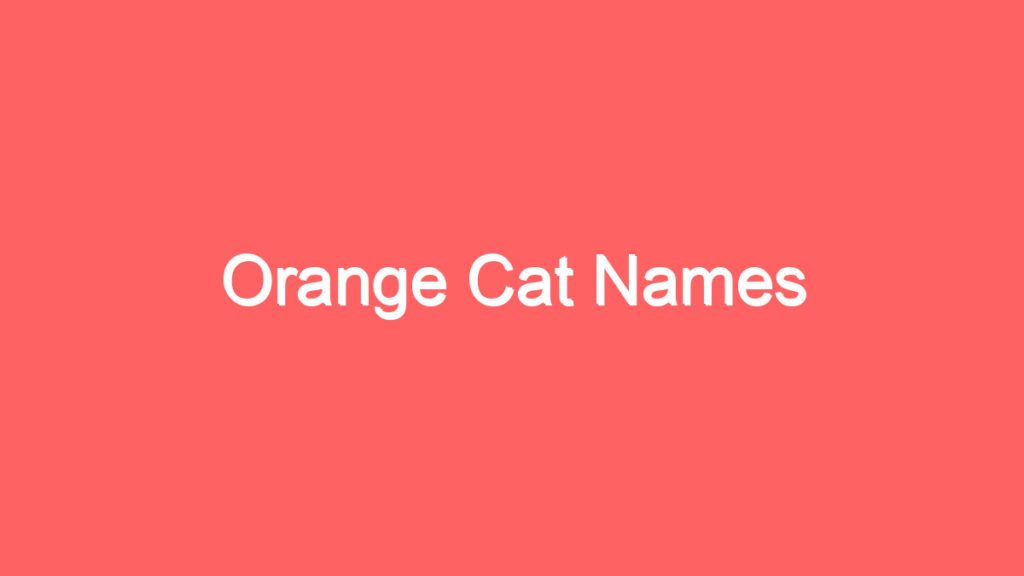 orange cat names 1819