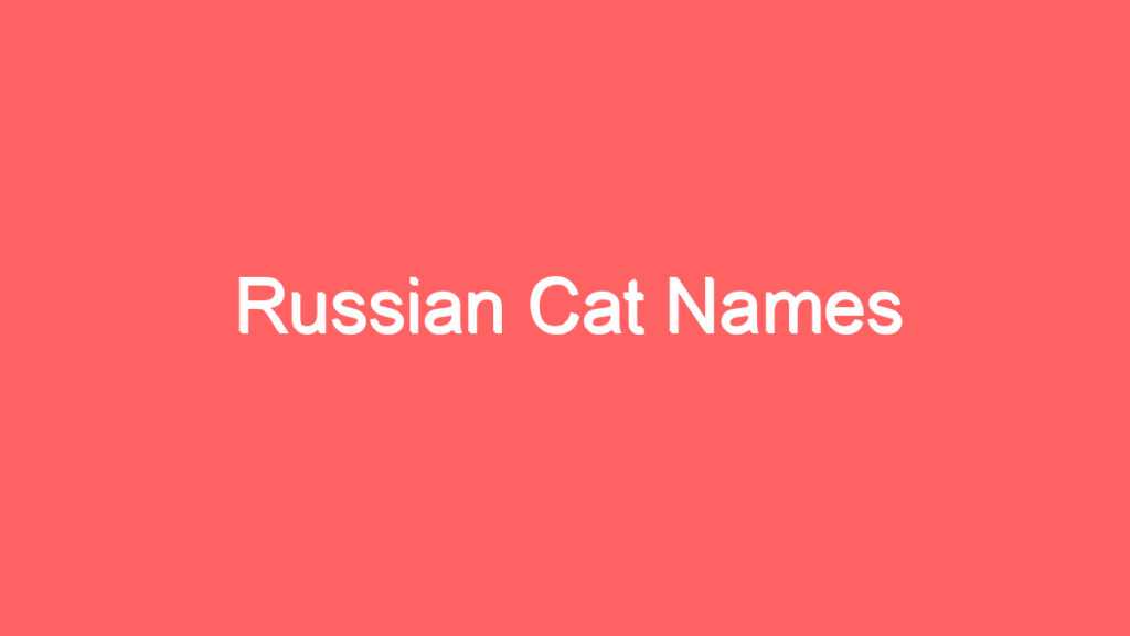 russian cat names 889